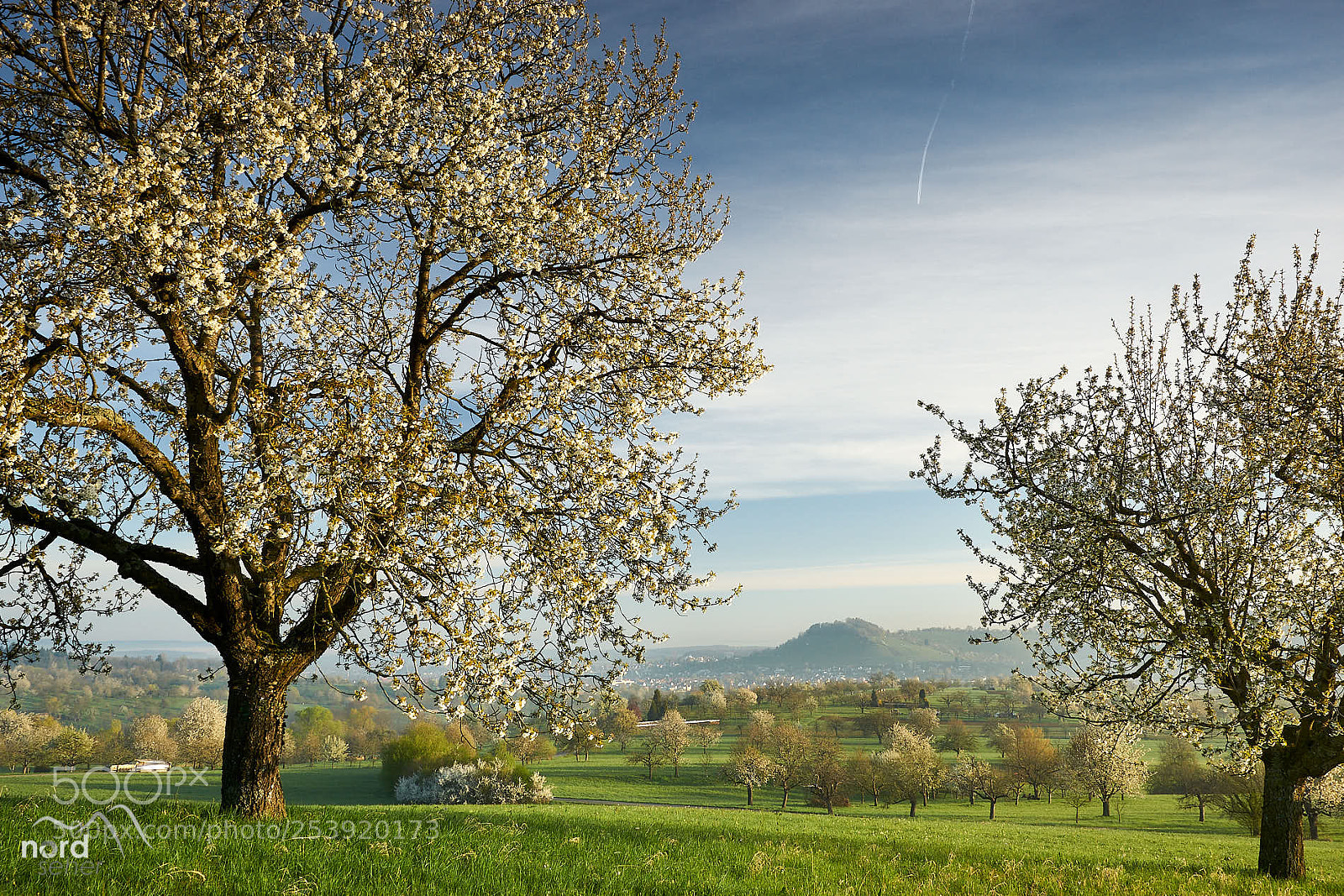 Sony ILCA-77M2 sample photo. Ermstal bei metzingen kirschbl photography