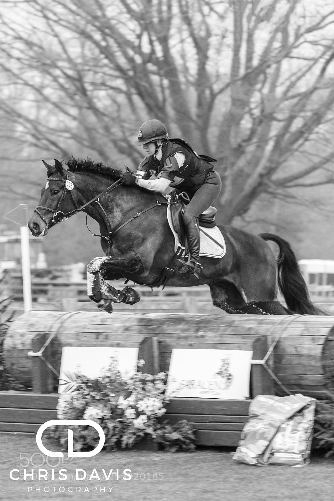 Canon EOS 50D sample photo. Belton horse trials photography