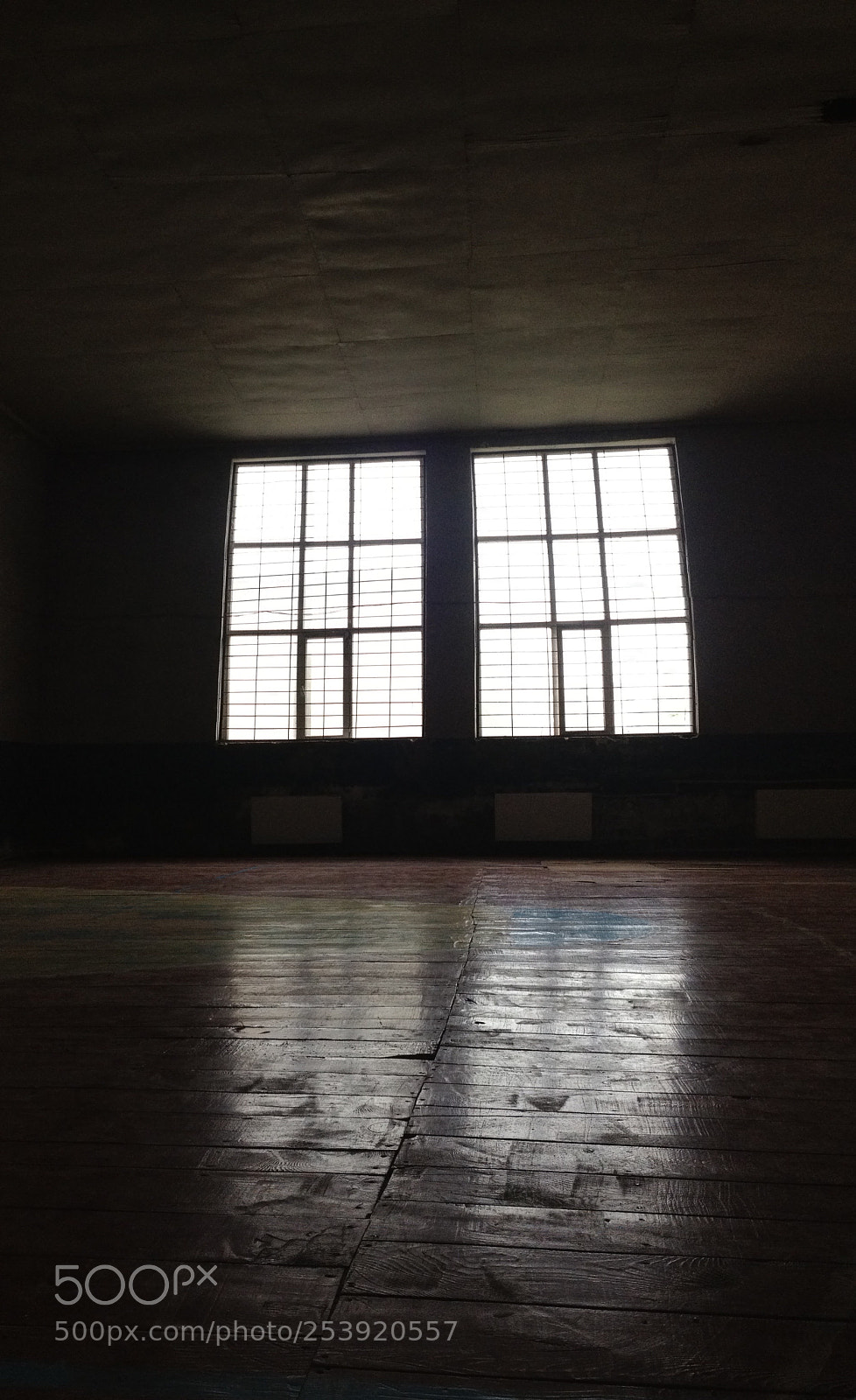 Apple iPhone 4S sample photo. Double stupidity photography