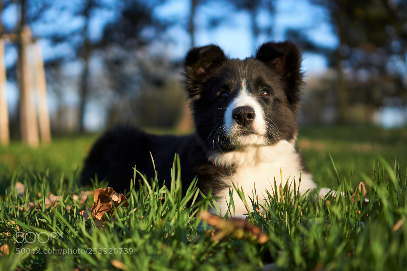 Sony a5100 sample photo. Dsc photography