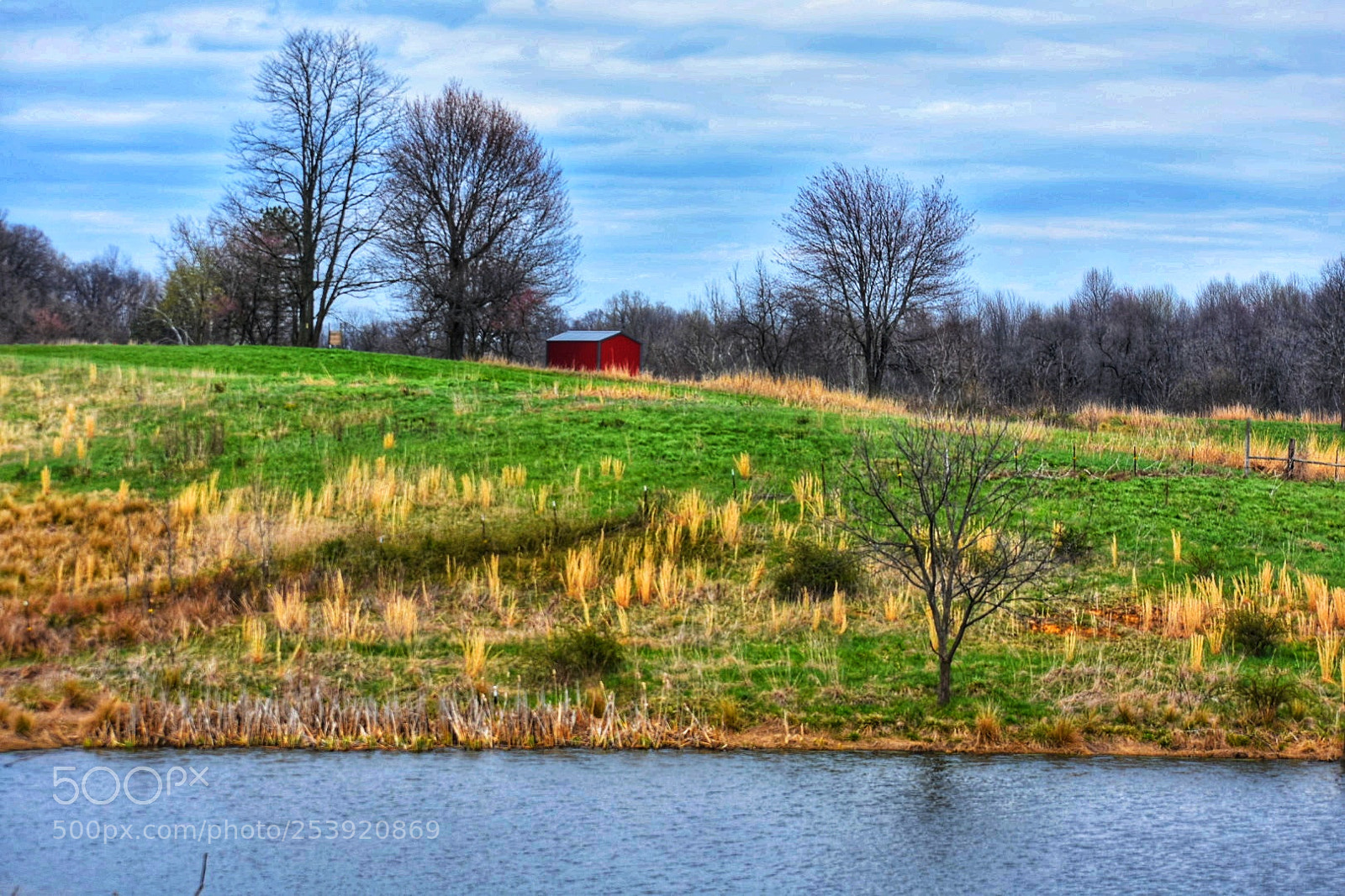 Nikon D3400 sample photo. Untitled photography
