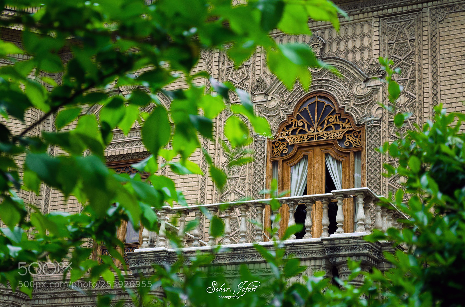Nikon D5100 sample photo. Life photography