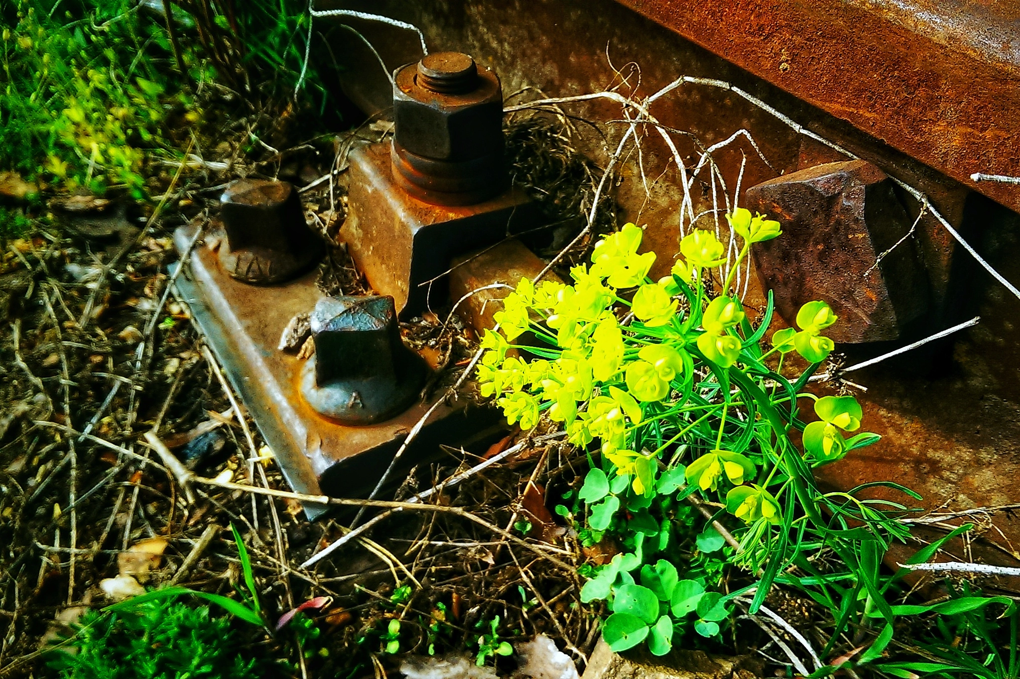 HTC ONE DUAL SIM sample photo. Beauty photography