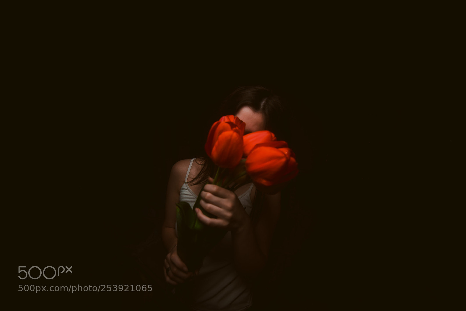 Nikon D610 sample photo. Red flowers photography