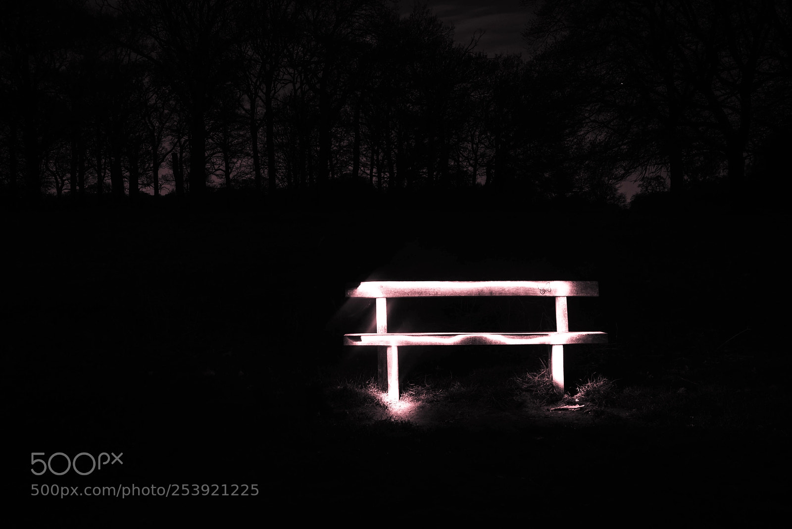 Nikon D600 sample photo. Nights watch photography