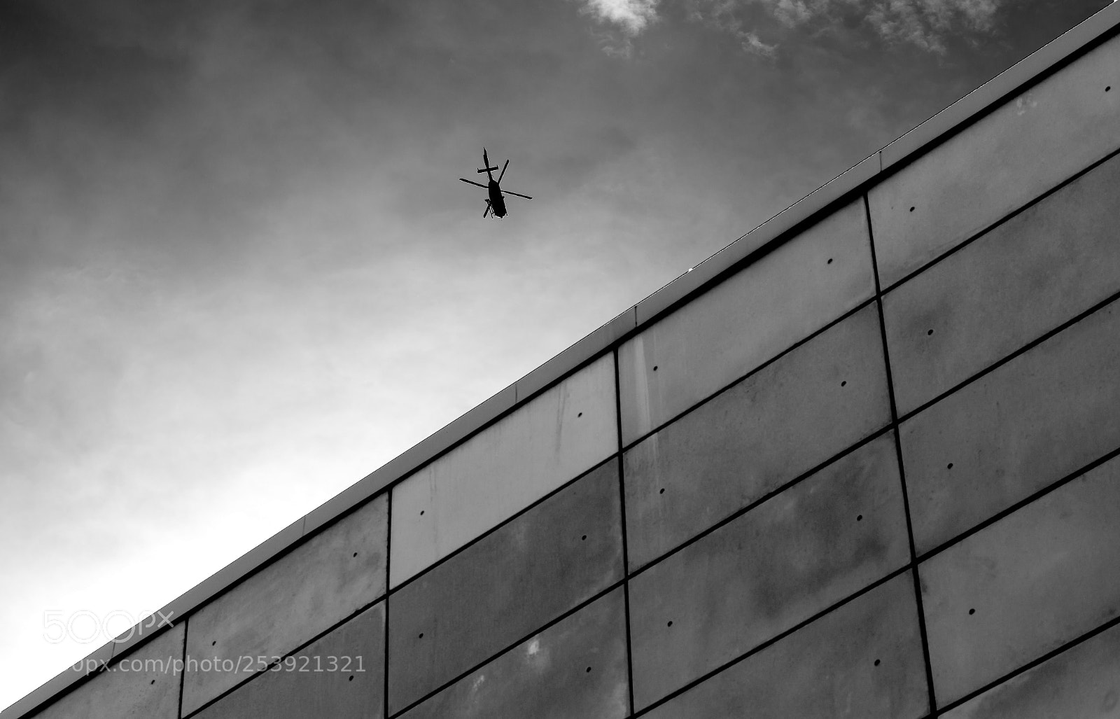 Nikon D610 sample photo. Target photography
