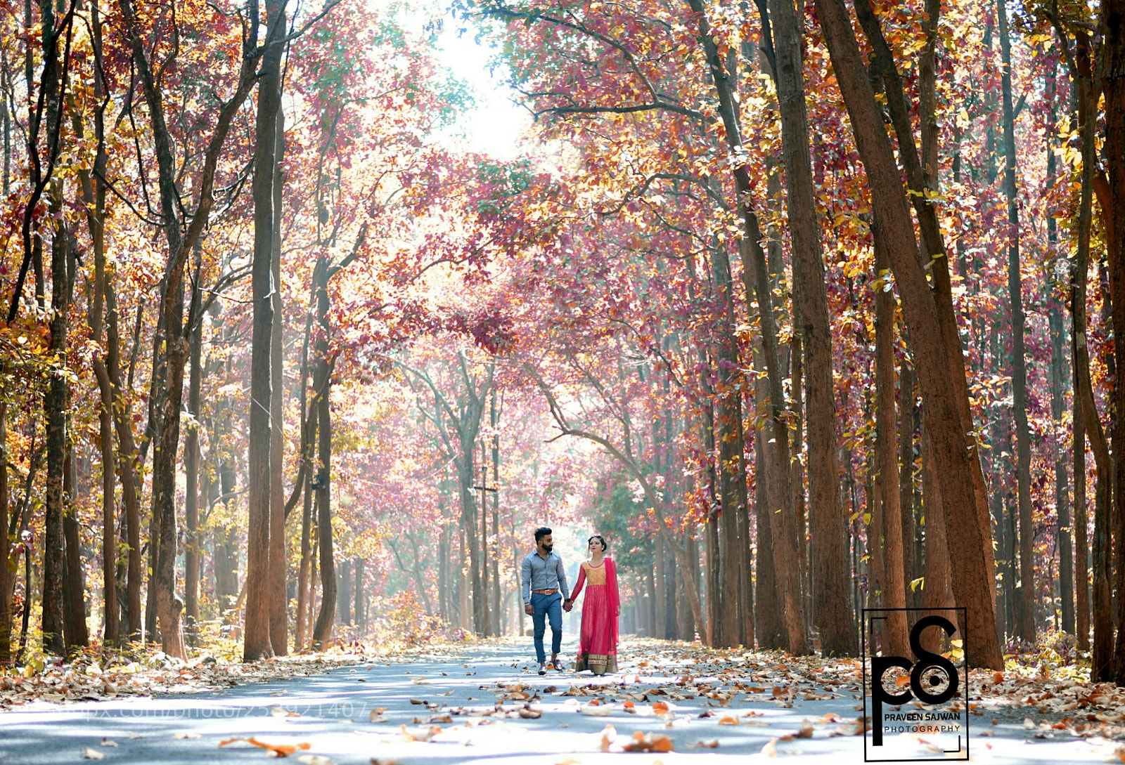 Nikon D850 sample photo. Pre wedding photographer in photography