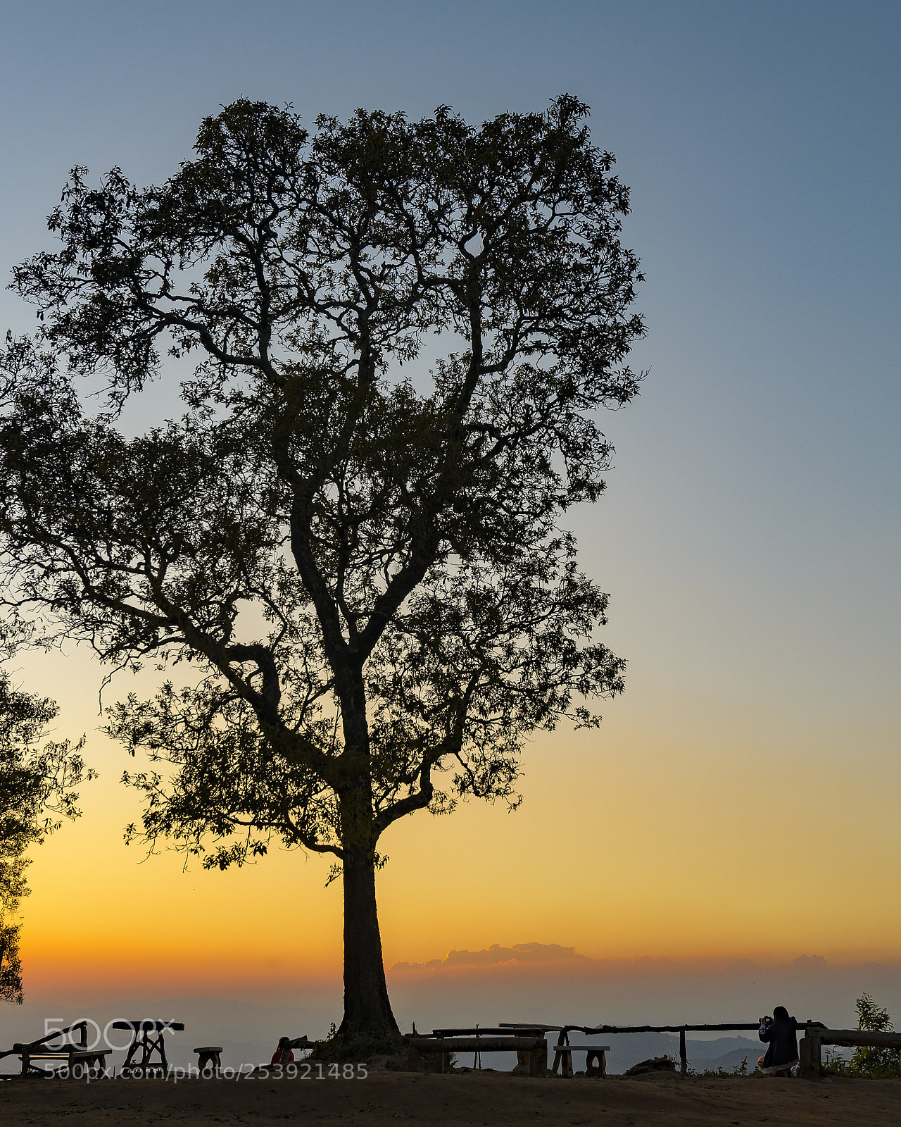 Nikon D7000 sample photo. ЧМ photography