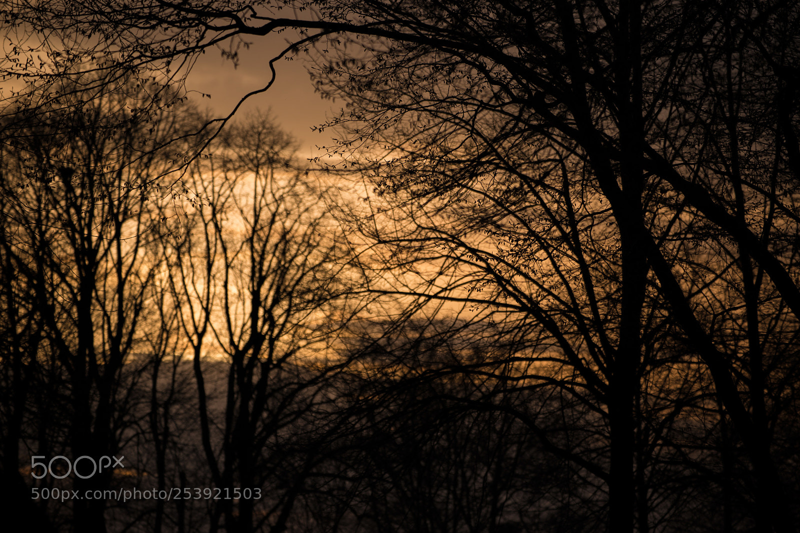 Canon EOS 6D Mark II sample photo. Sunset photography