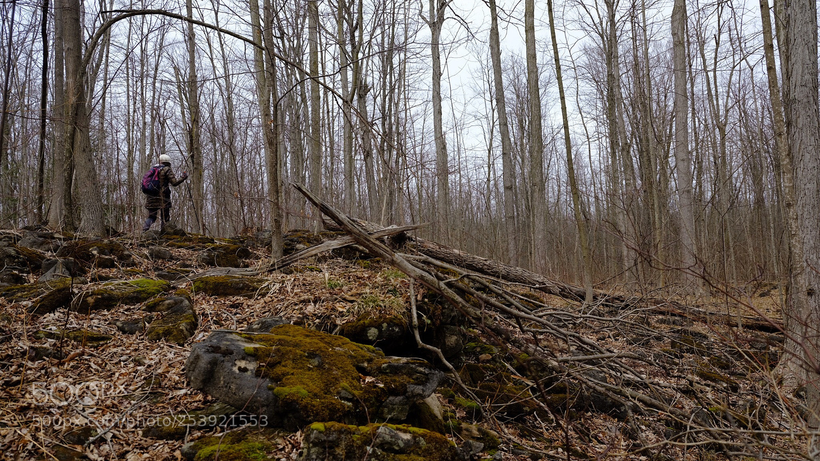 Fujifilm GFX 50S sample photo. Hiking photography