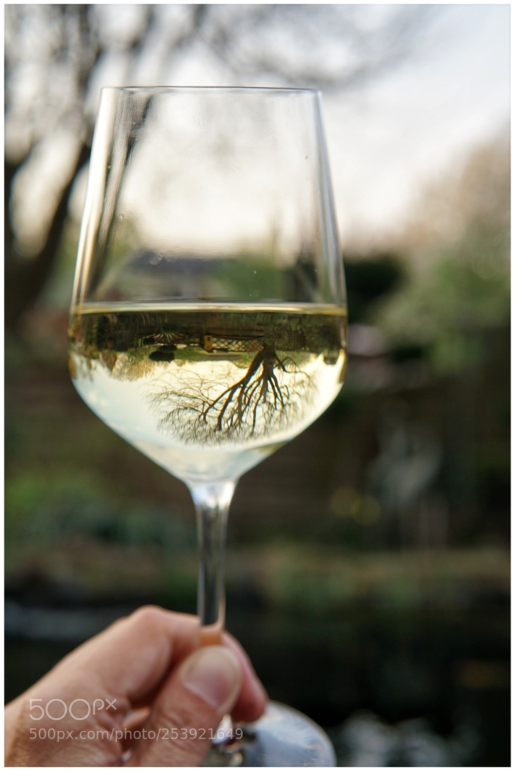 Sony a6000 sample photo. Glass of wine with photography
