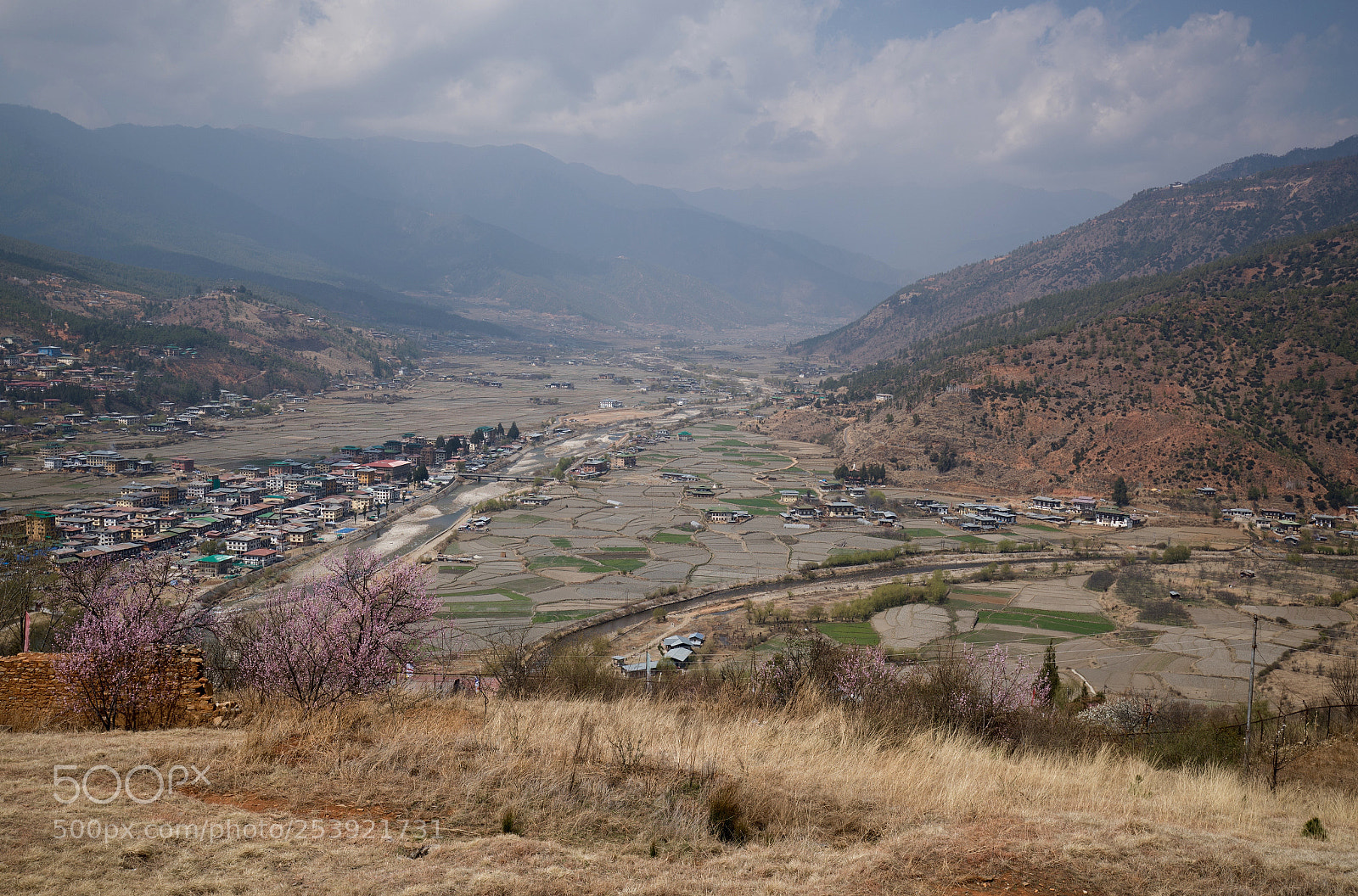 Canon EOS-1D X Mark II sample photo. View paro photography