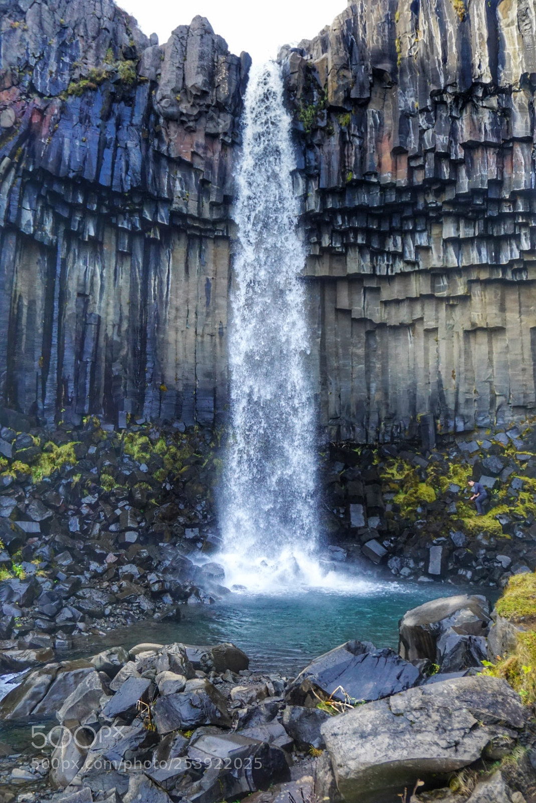 Sony a5100 sample photo. Dsc photography