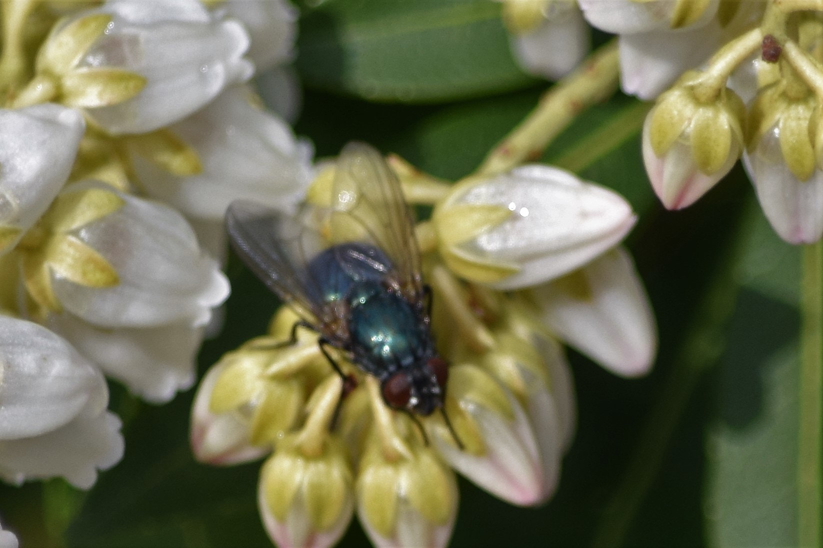 Nikon D5300 sample photo. () photography