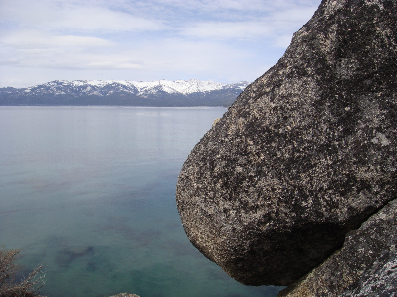 Sony DSC-T200 sample photo. Tahoe's nose knows photography