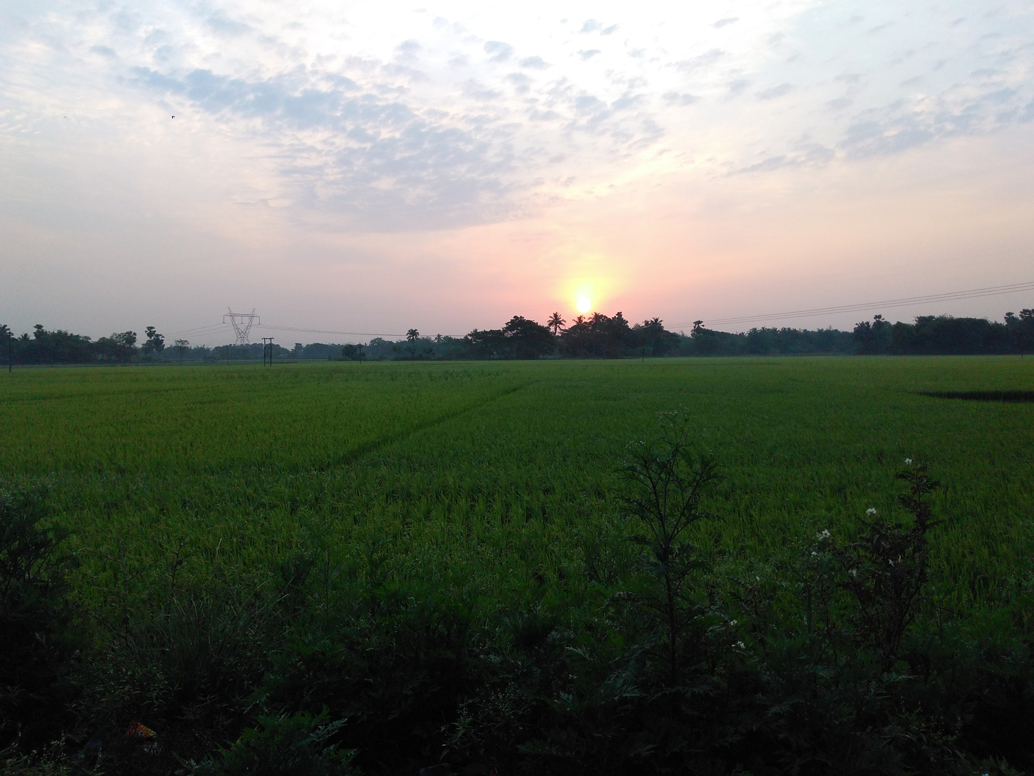 Motorola Moto G Play sample photo