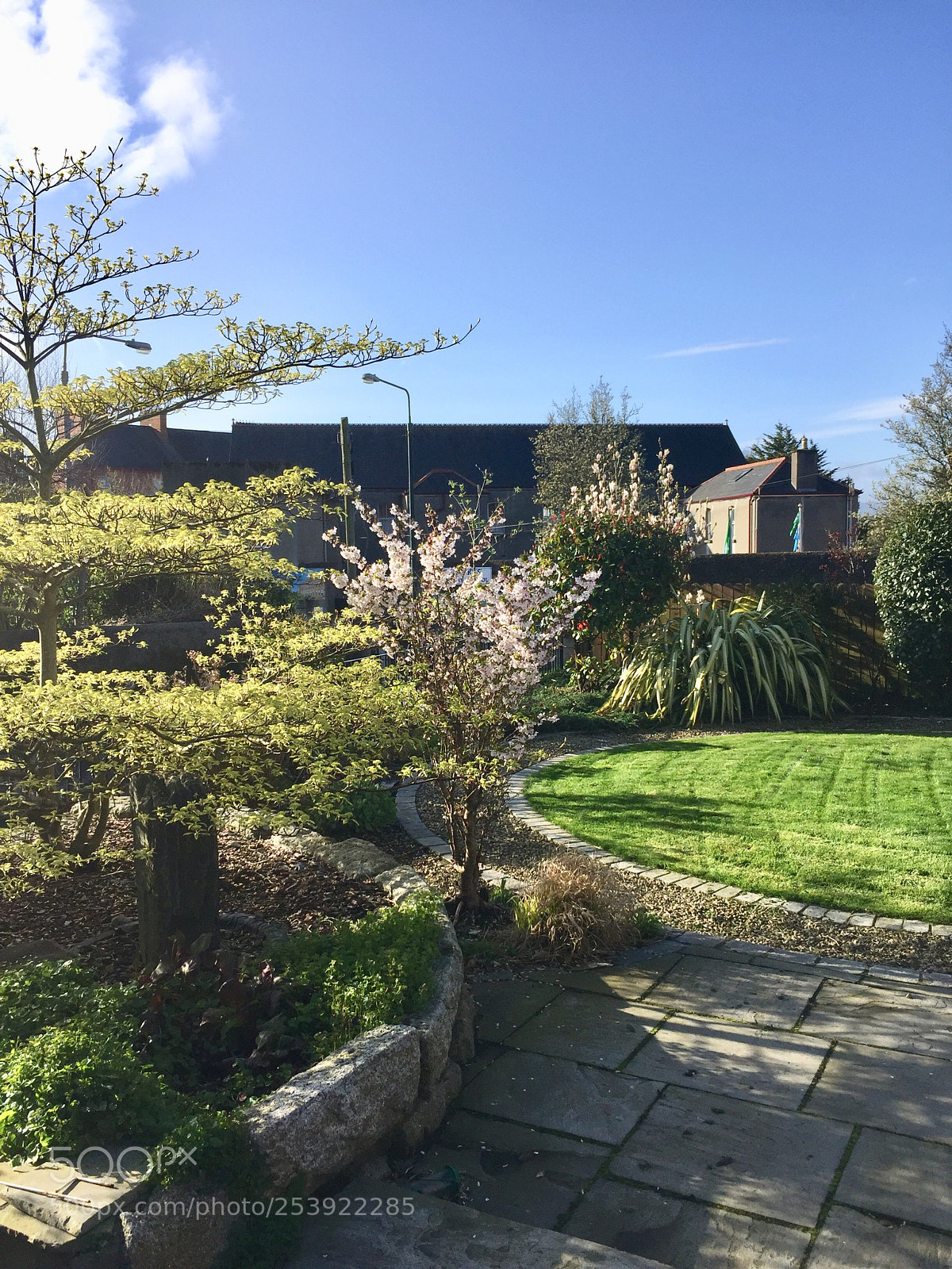 Apple iPhone 6 sample photo. An irish garden photography