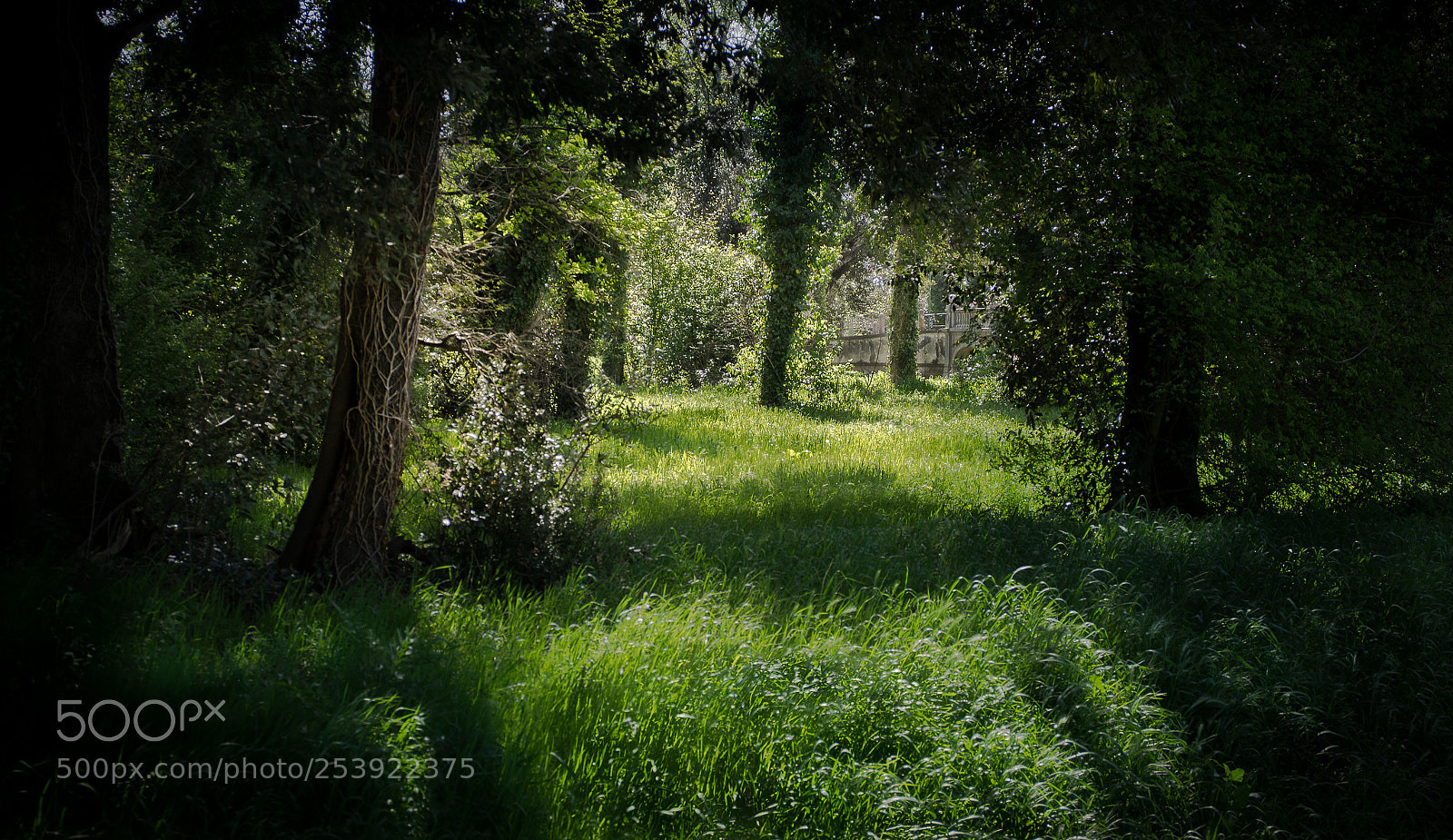 Pentax K-3 sample photo. Greenery photography
