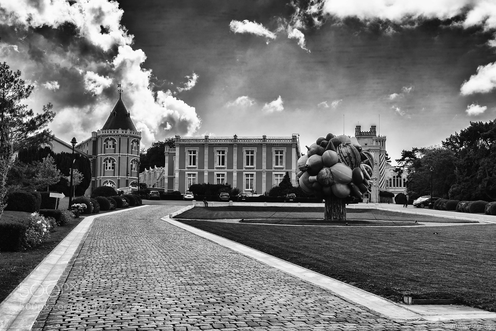 Nikon D800E sample photo. Maison pommery photography