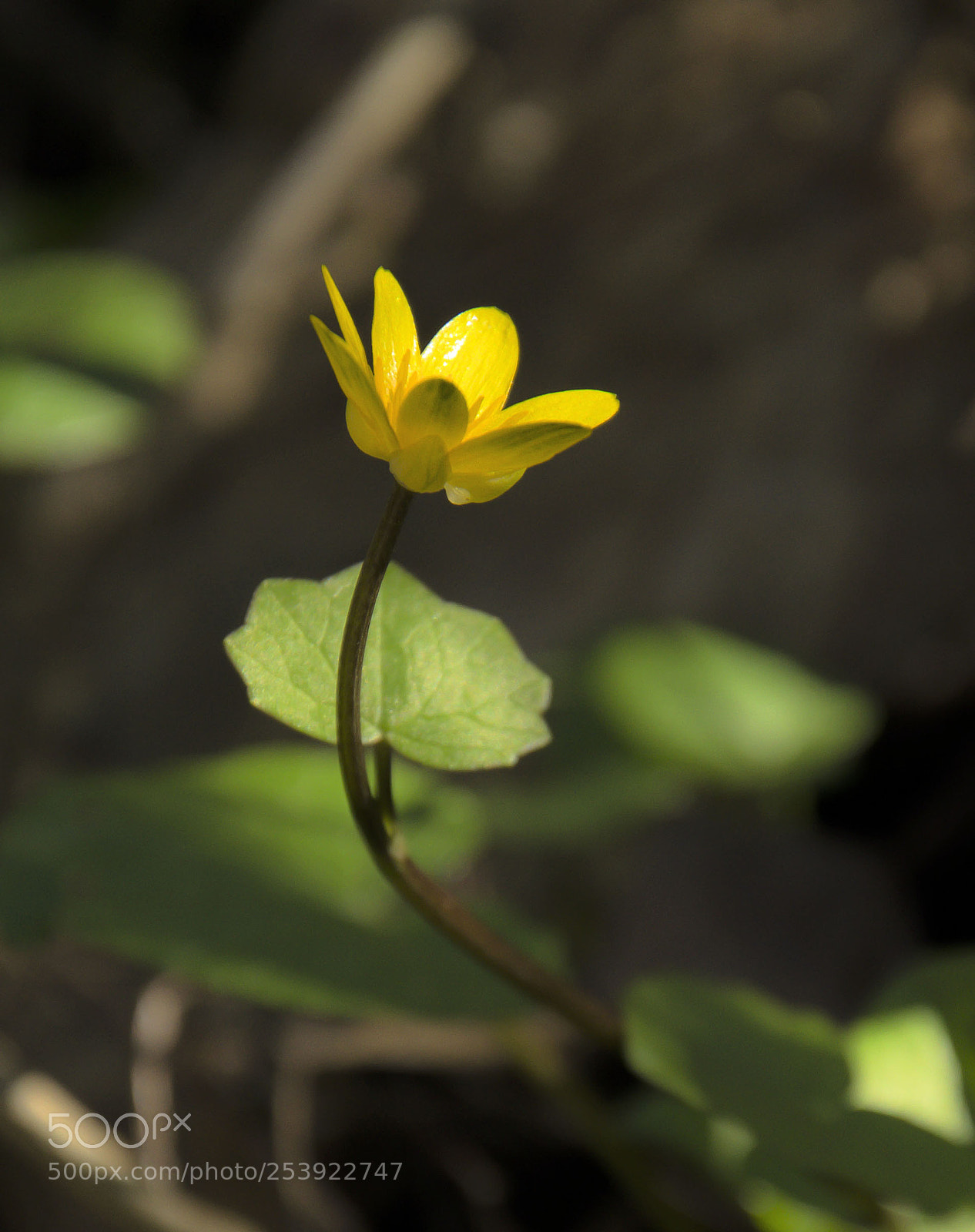 Nikon D7000 sample photo. Untitled photography