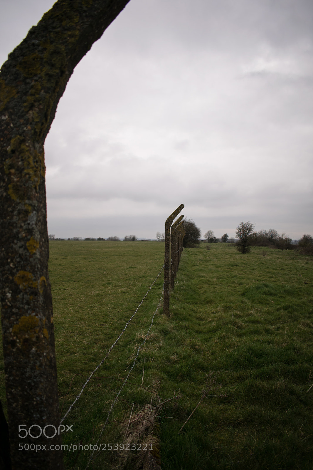 Nikon D5300 sample photo. Charmy down airfield photography