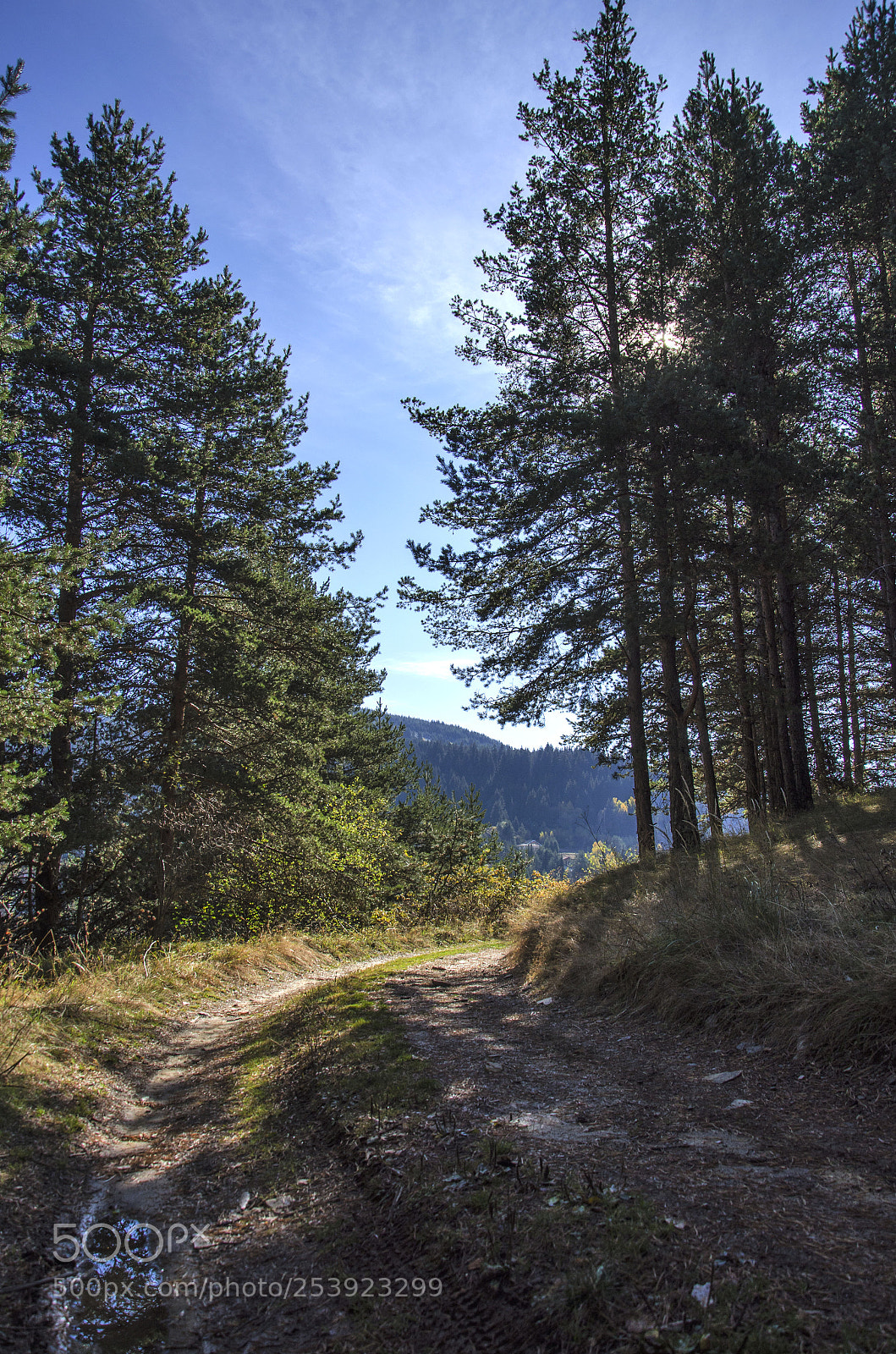 Nikon D7000 sample photo. Road to happiness photography