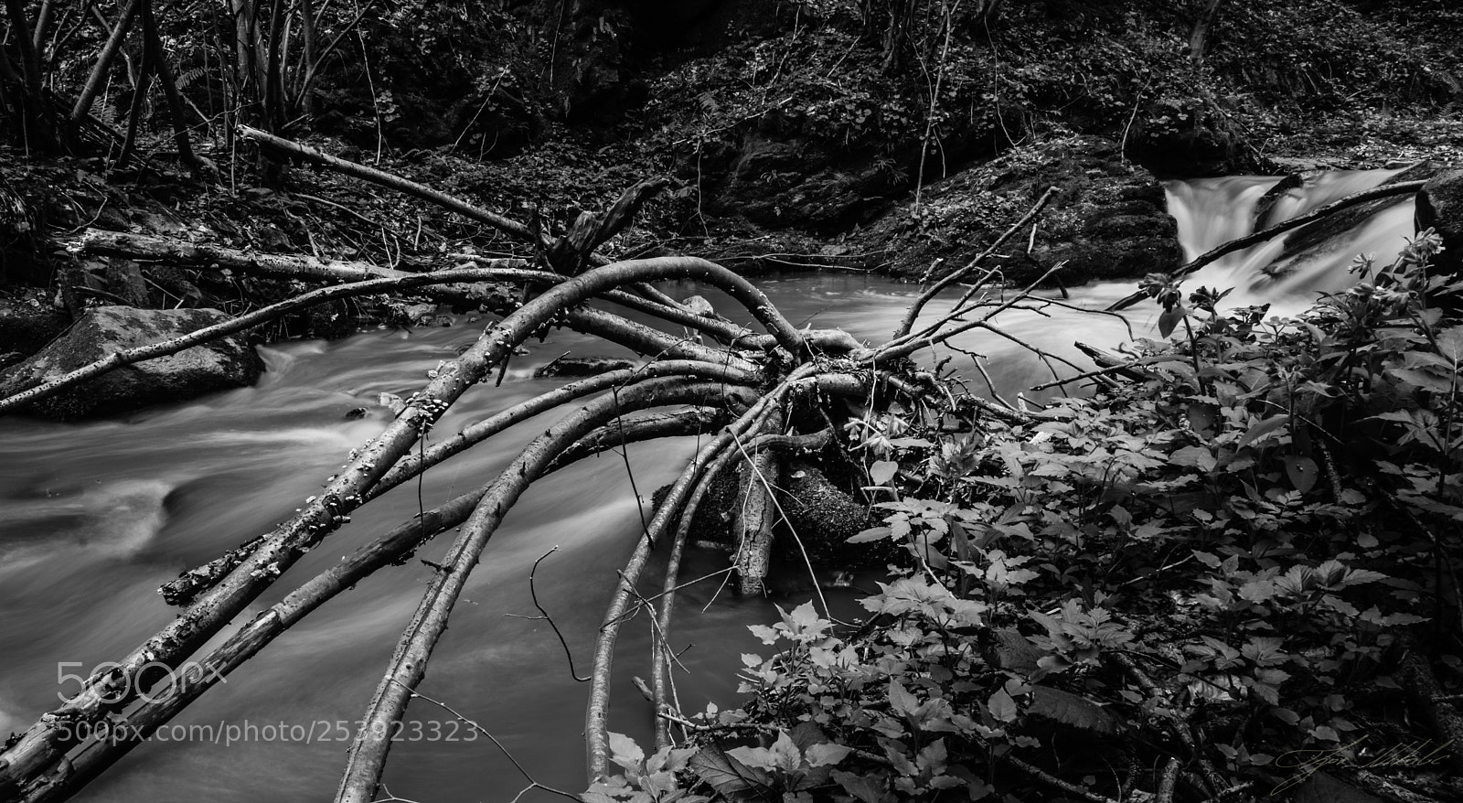 Nikon D5300 sample photo. Spooky stream photography