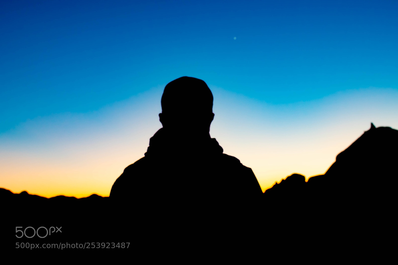 Nikon D7500 sample photo. Josh at joshua tree photography