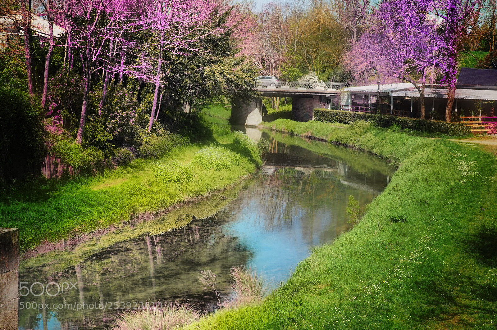 Olympus OM-D E-M10 II sample photo. Small river  photography