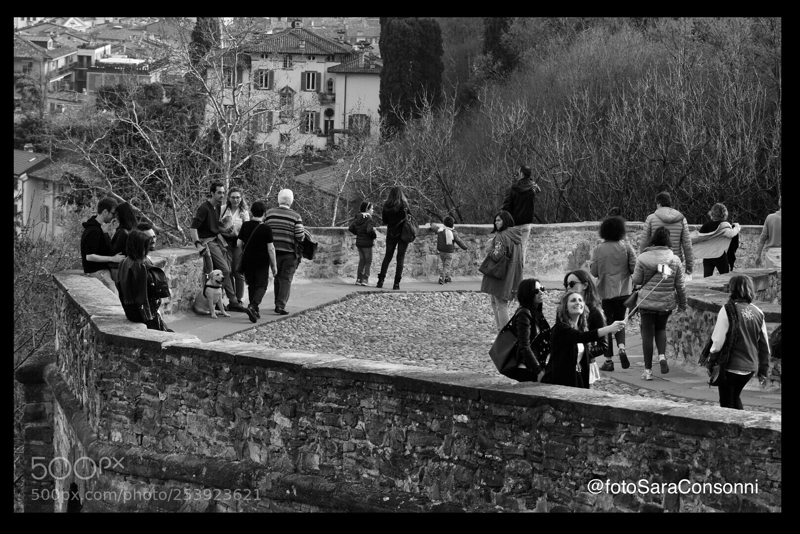 Nikon D7200 sample photo. Domenica photography