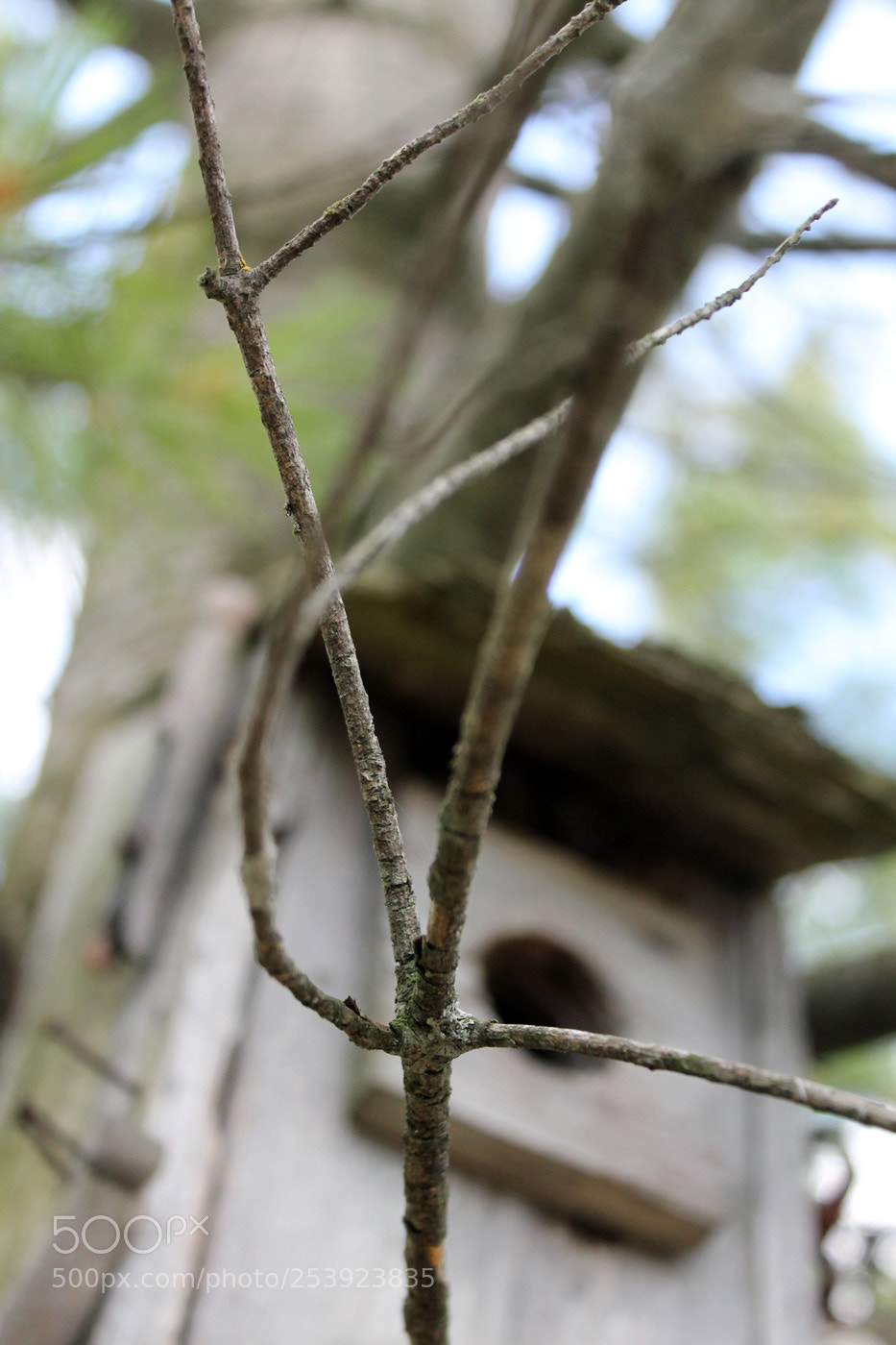 Canon EOS 1100D (EOS Rebel T3 / EOS Kiss X50) sample photo. Img photography