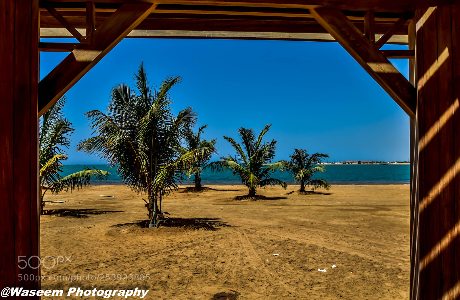 Nikon D7200 sample photo. Untitled photography