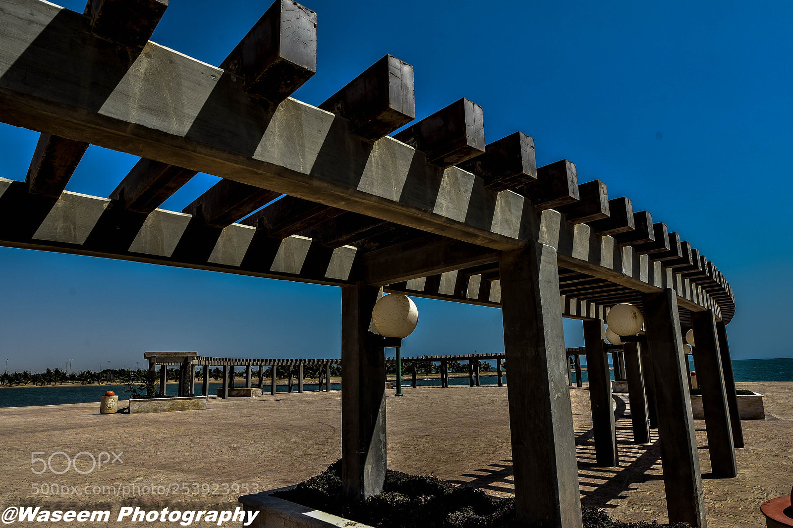 Nikon D7200 sample photo. Untitled photography
