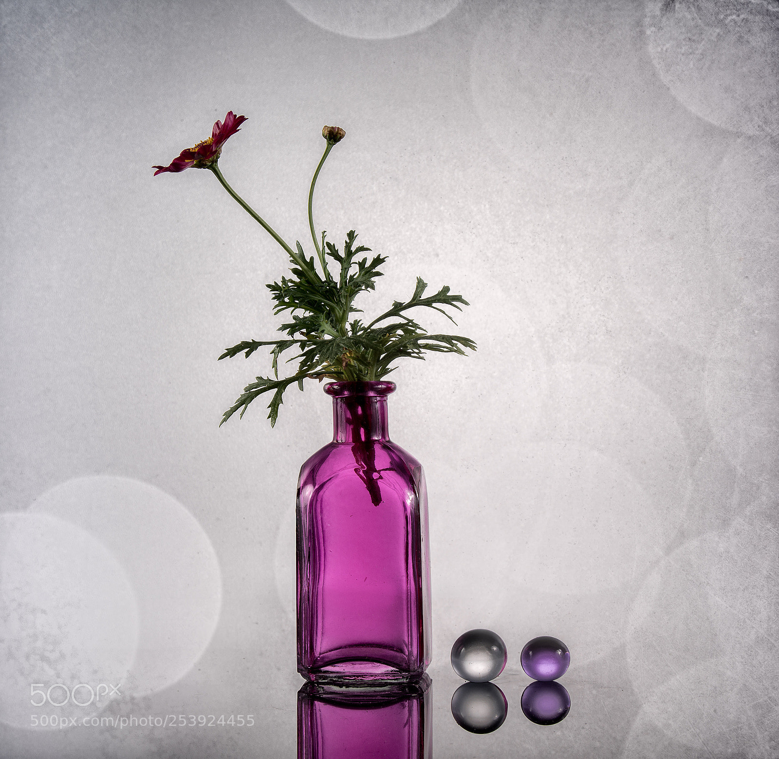 Nikon D7100 sample photo. Still life photography
