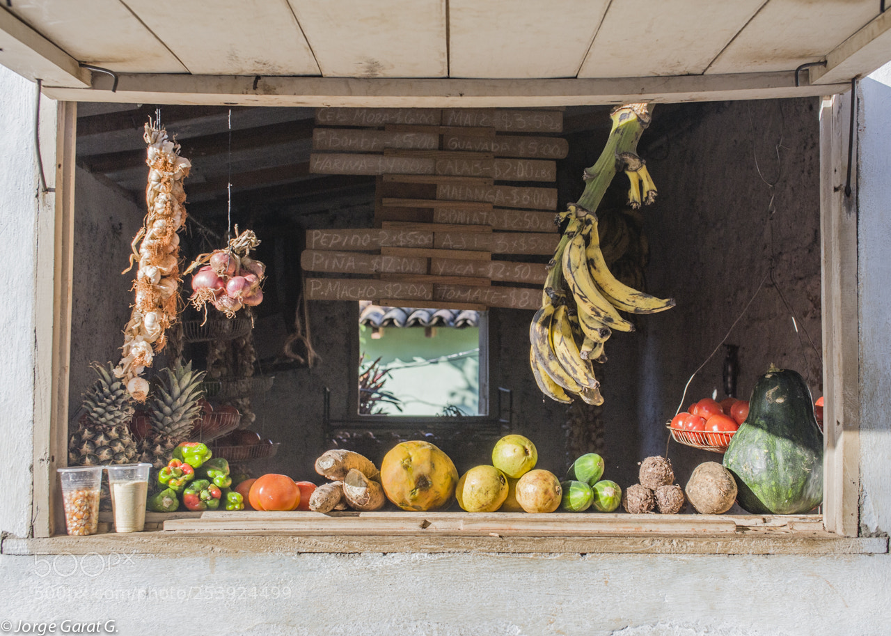 Nikon D700 sample photo. Family business in trinidad photography