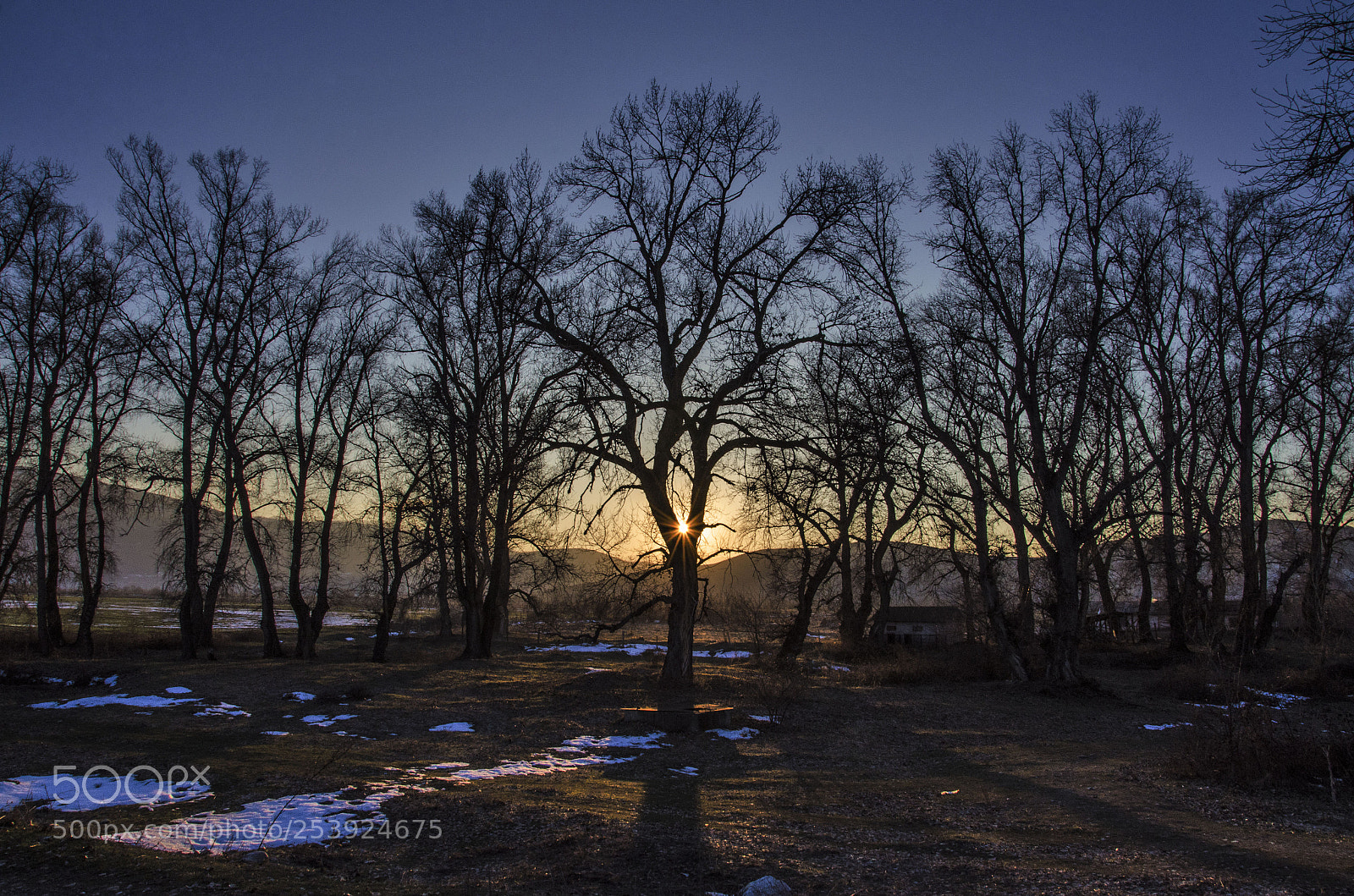 Nikon D7000 sample photo. Last winter sunset photography