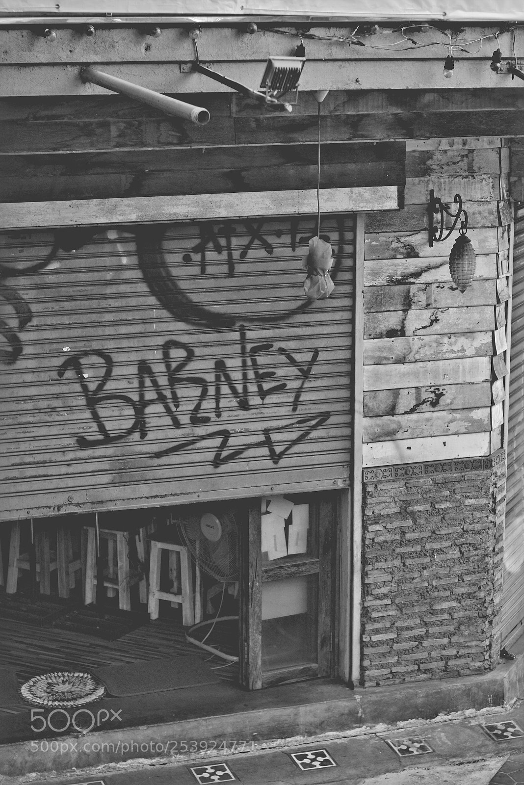 Canon EOS 750D (EOS Rebel T6i / EOS Kiss X8i) sample photo. Barney photography