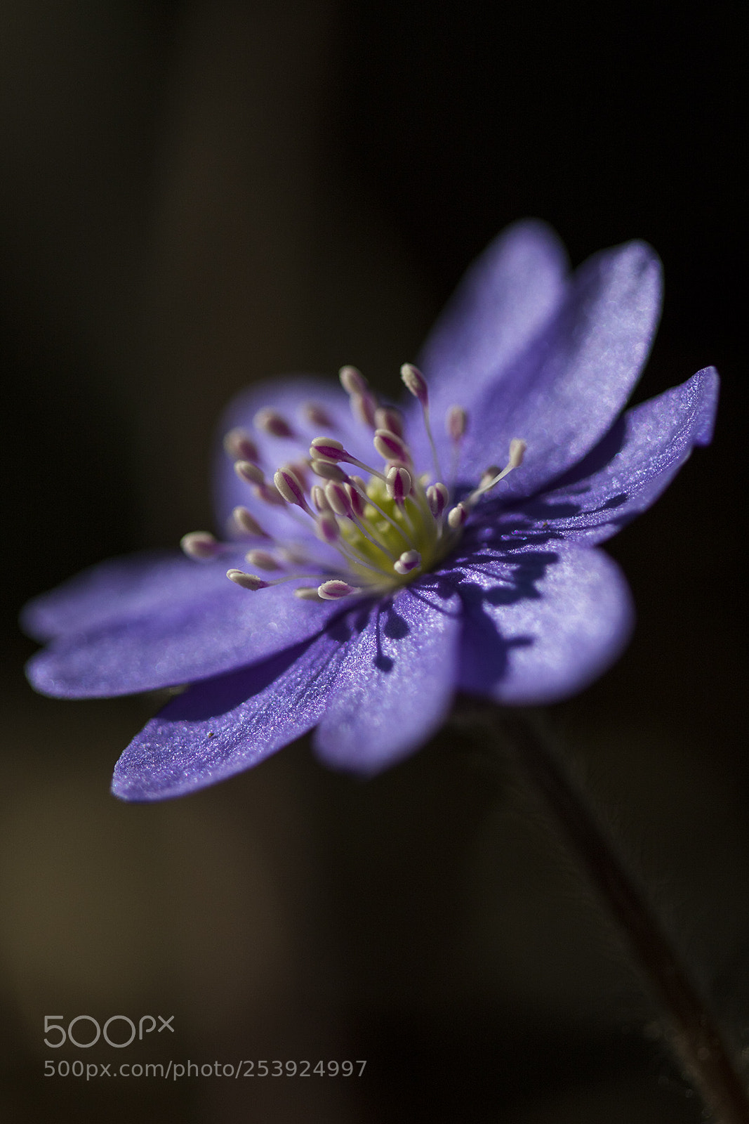 Canon EOS 7D Mark II sample photo. Na photography