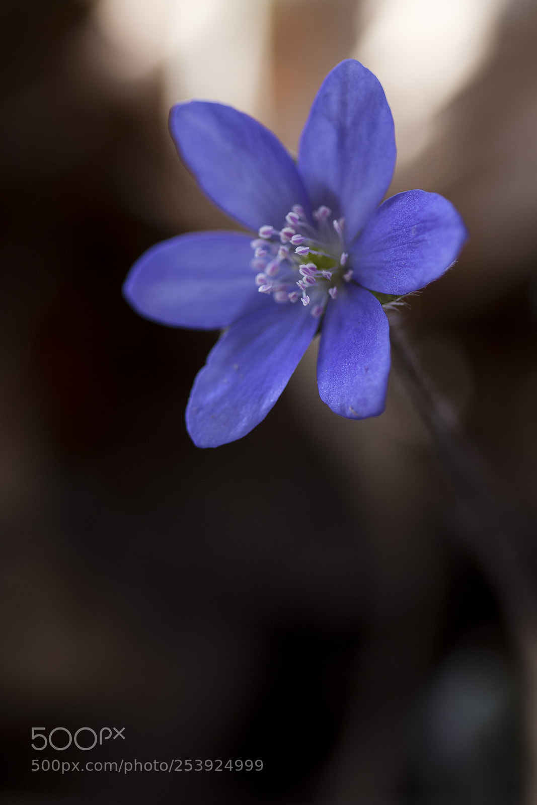 Canon EOS 7D Mark II sample photo. Na photography