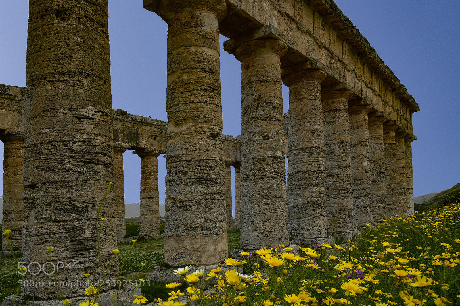 Nikon D850 sample photo. Segesta photography