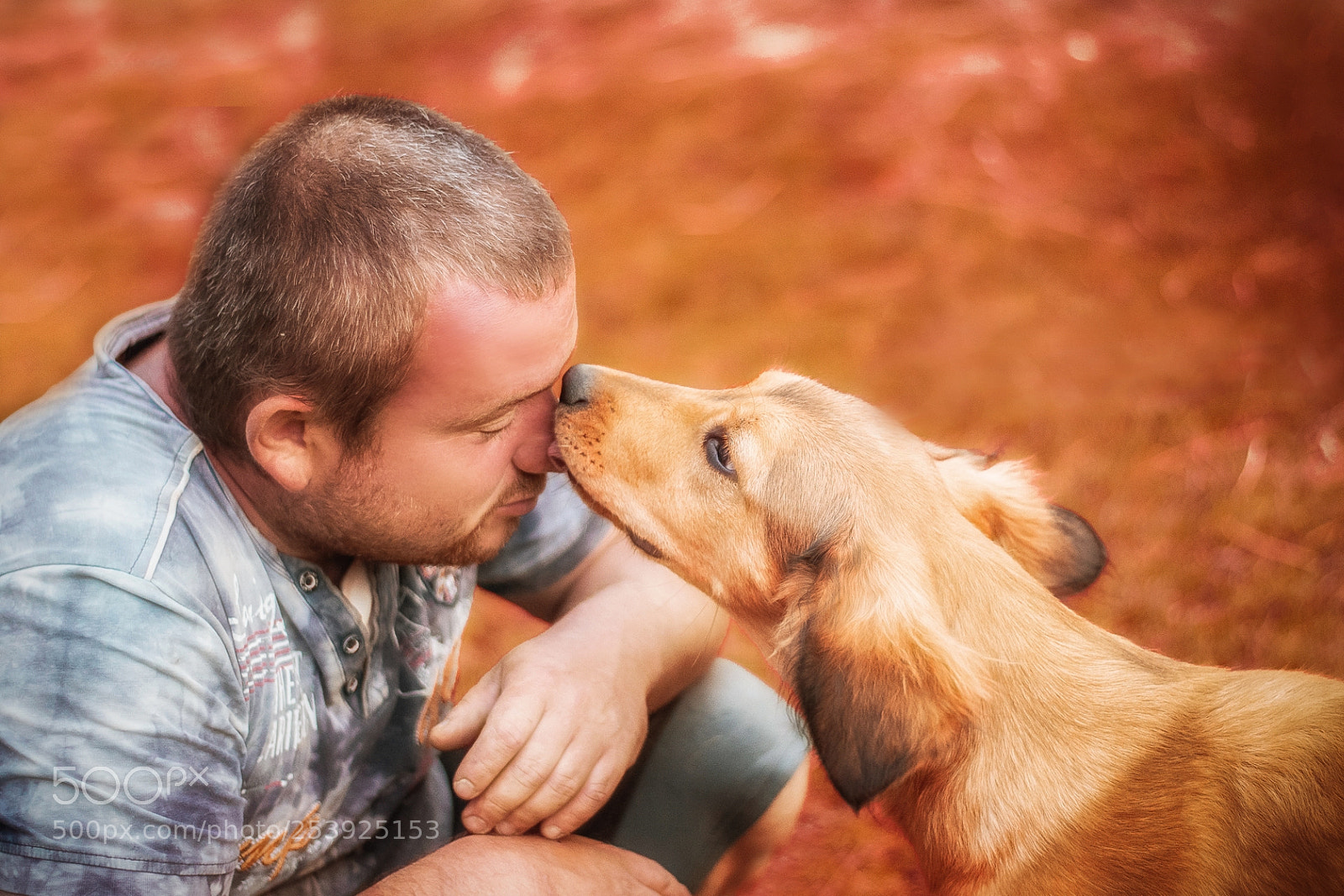 Nikon D7200 sample photo. Friend dog photography
