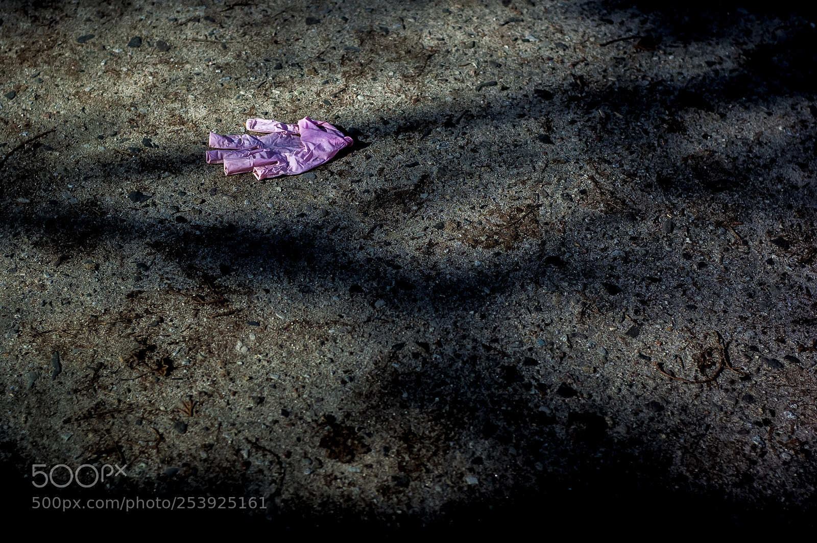 Nikon D70 sample photo. Glove photography