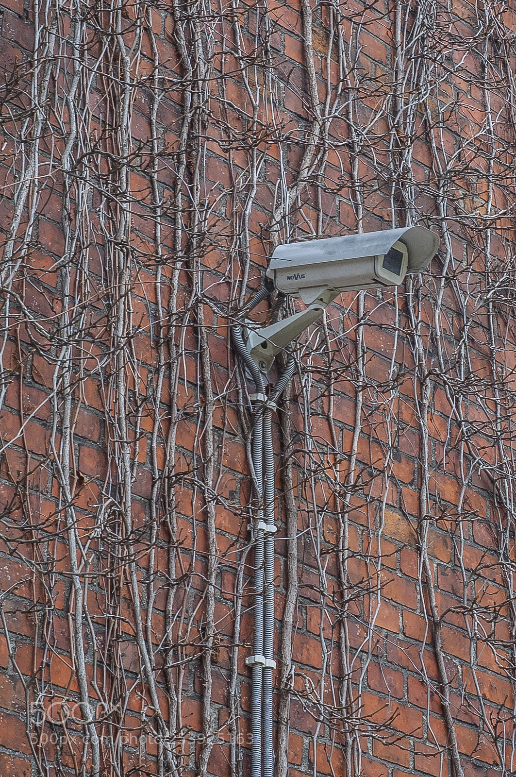 Nikon D70 sample photo. Cctv photography