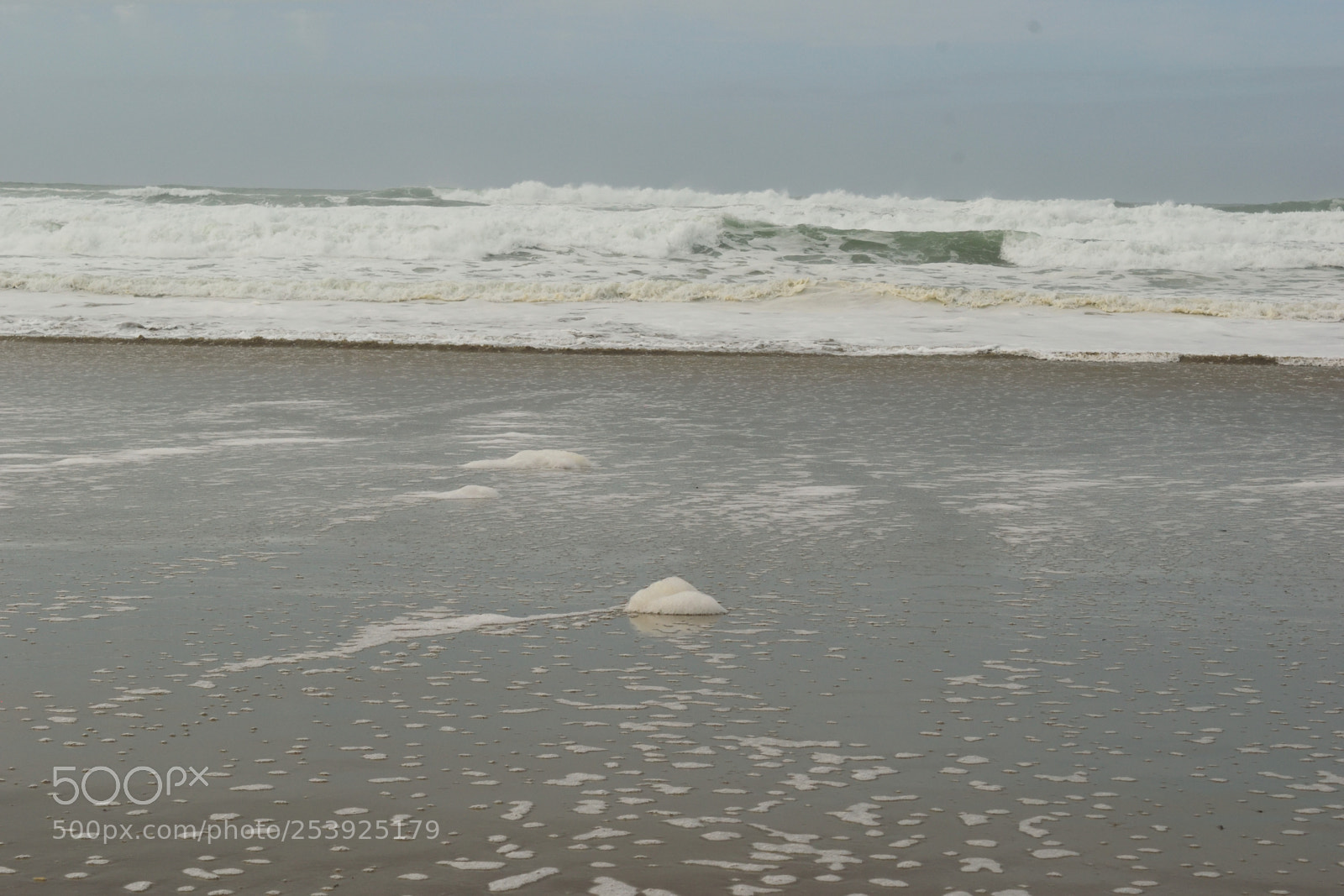 Nikon D3300 sample photo. Coastal calling photography