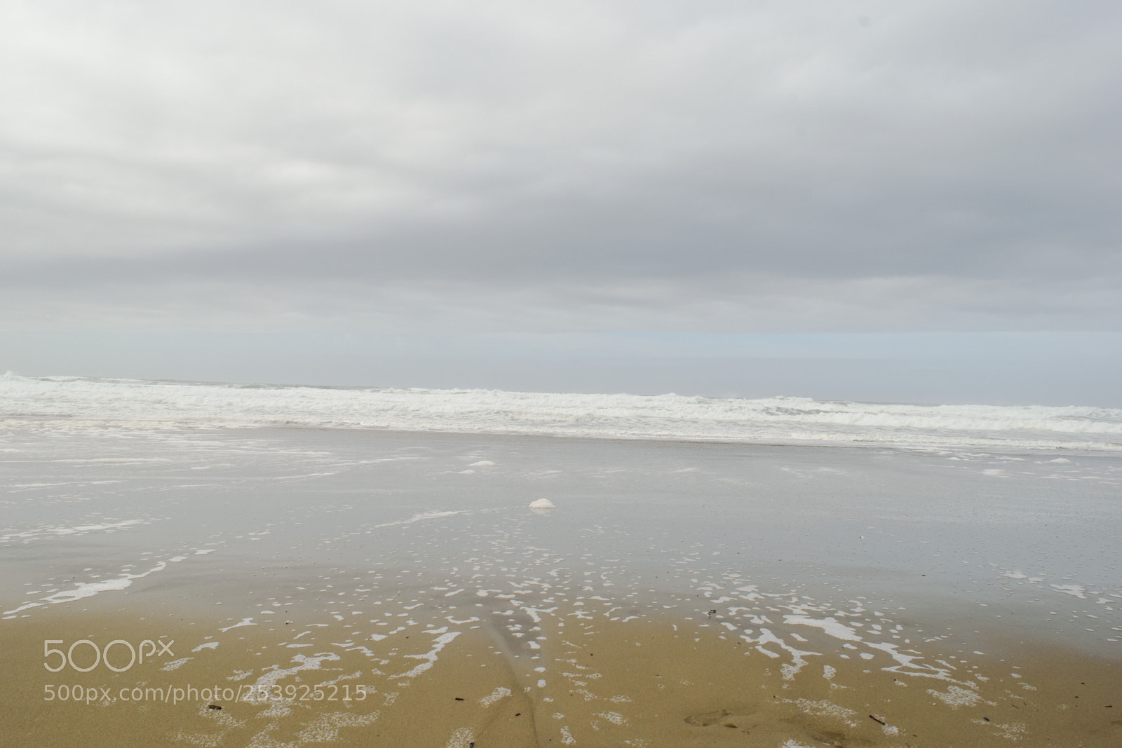 Nikon D3300 sample photo. Ocean calls me home photography