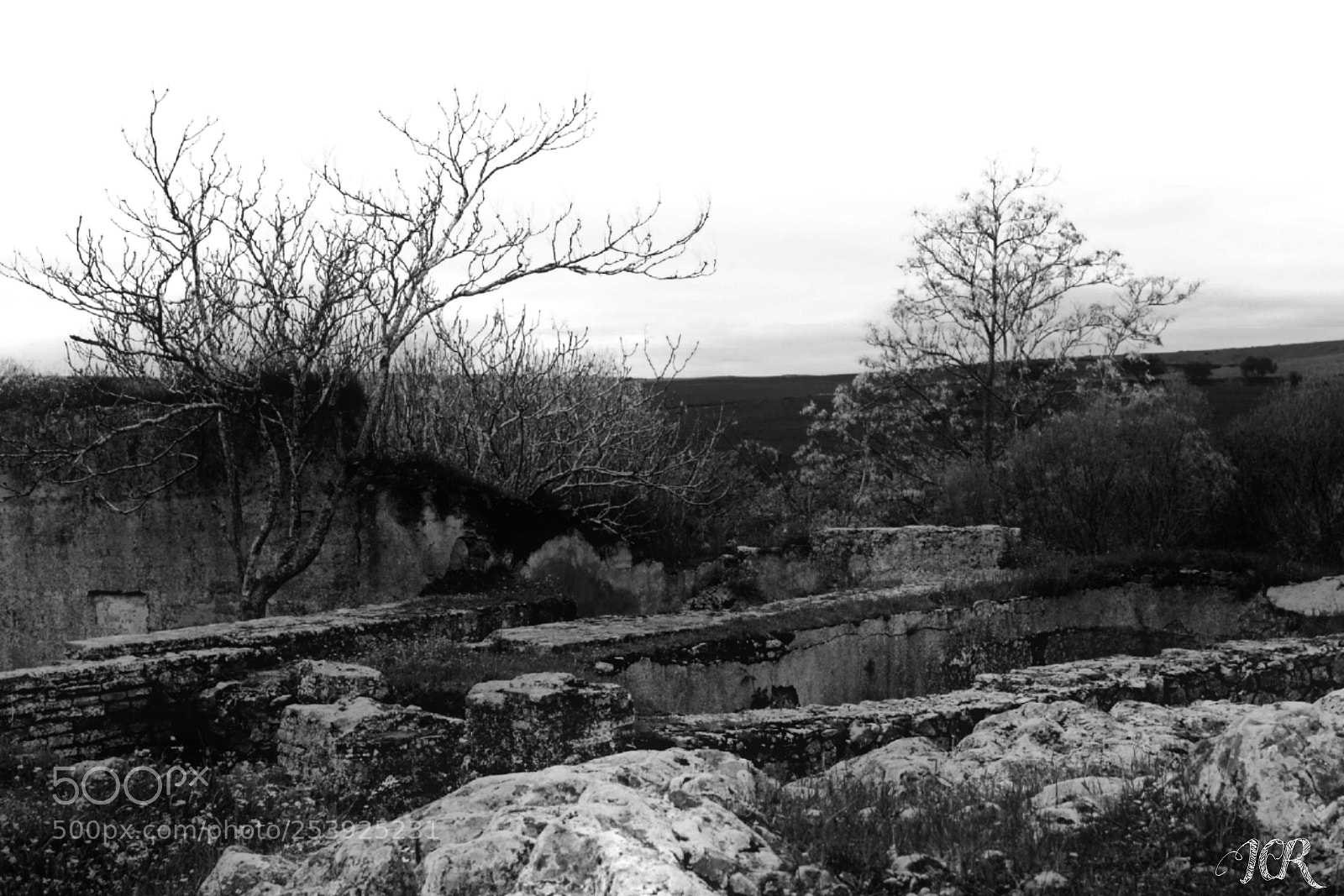 Nikon D5200 sample photo. Ruinas photography