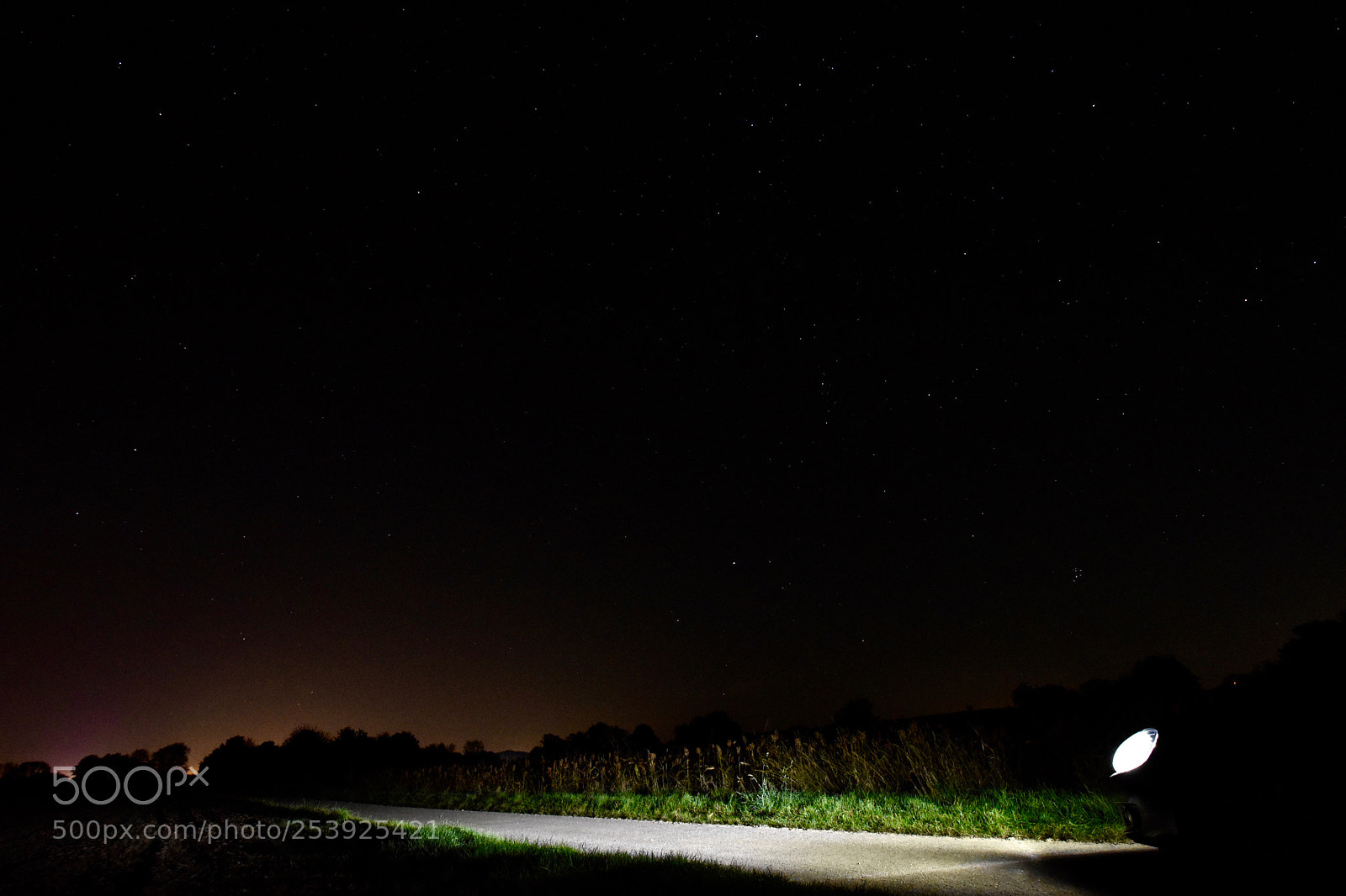 Nikon D5600 sample photo. Lights in the dark photography