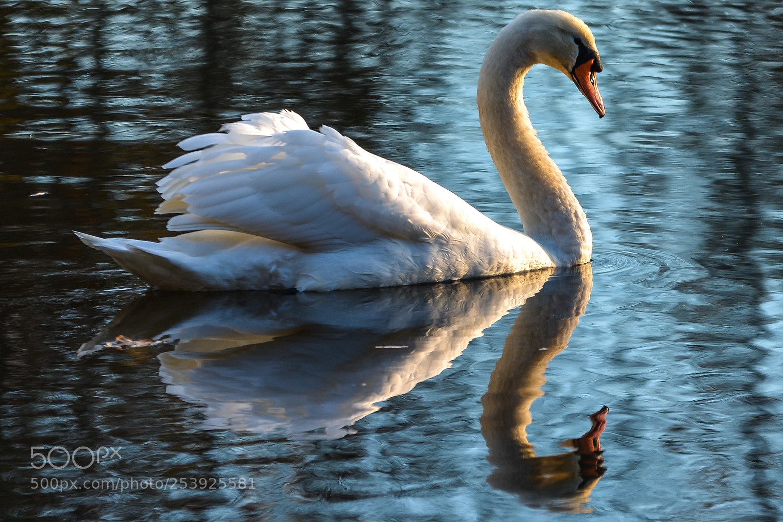 Nikon D7100 sample photo. 26.jpg photography