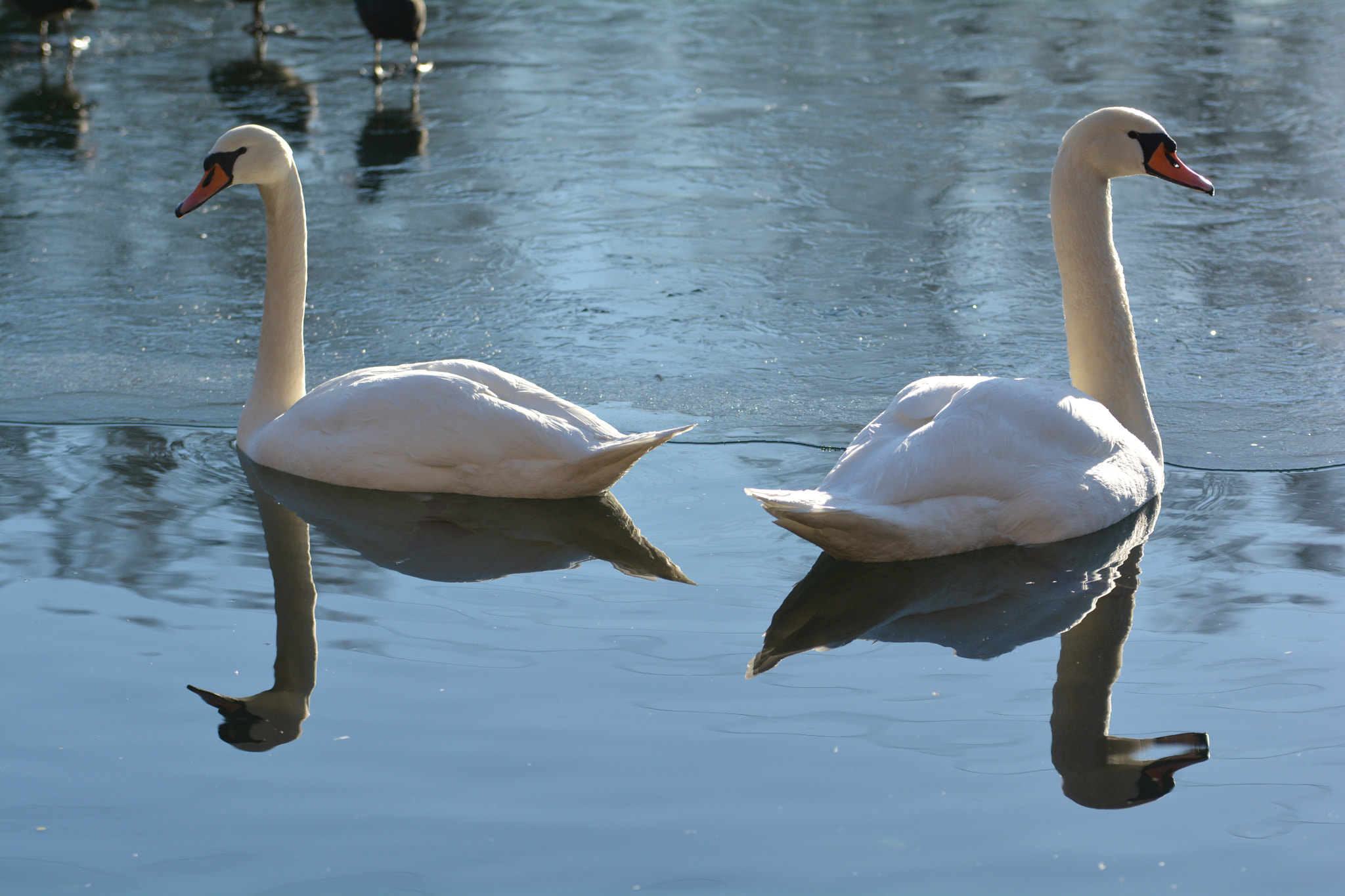 Nikon D7100 + Sigma 70-200mm F2.8 EX DG OS HSM sample photo. 2344.jpg photography