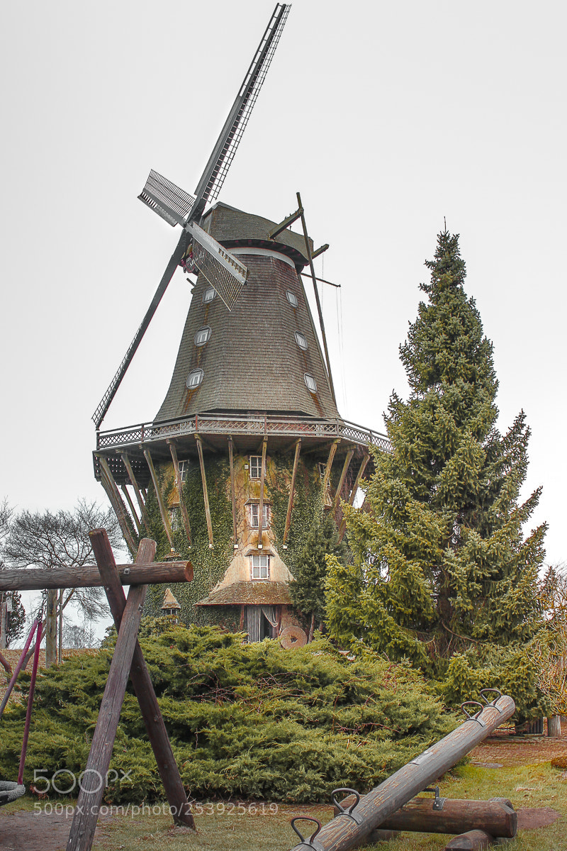 Canon EOS 600D (Rebel EOS T3i / EOS Kiss X5) sample photo. Mill photography